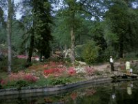 Exbury Gardens New Forest